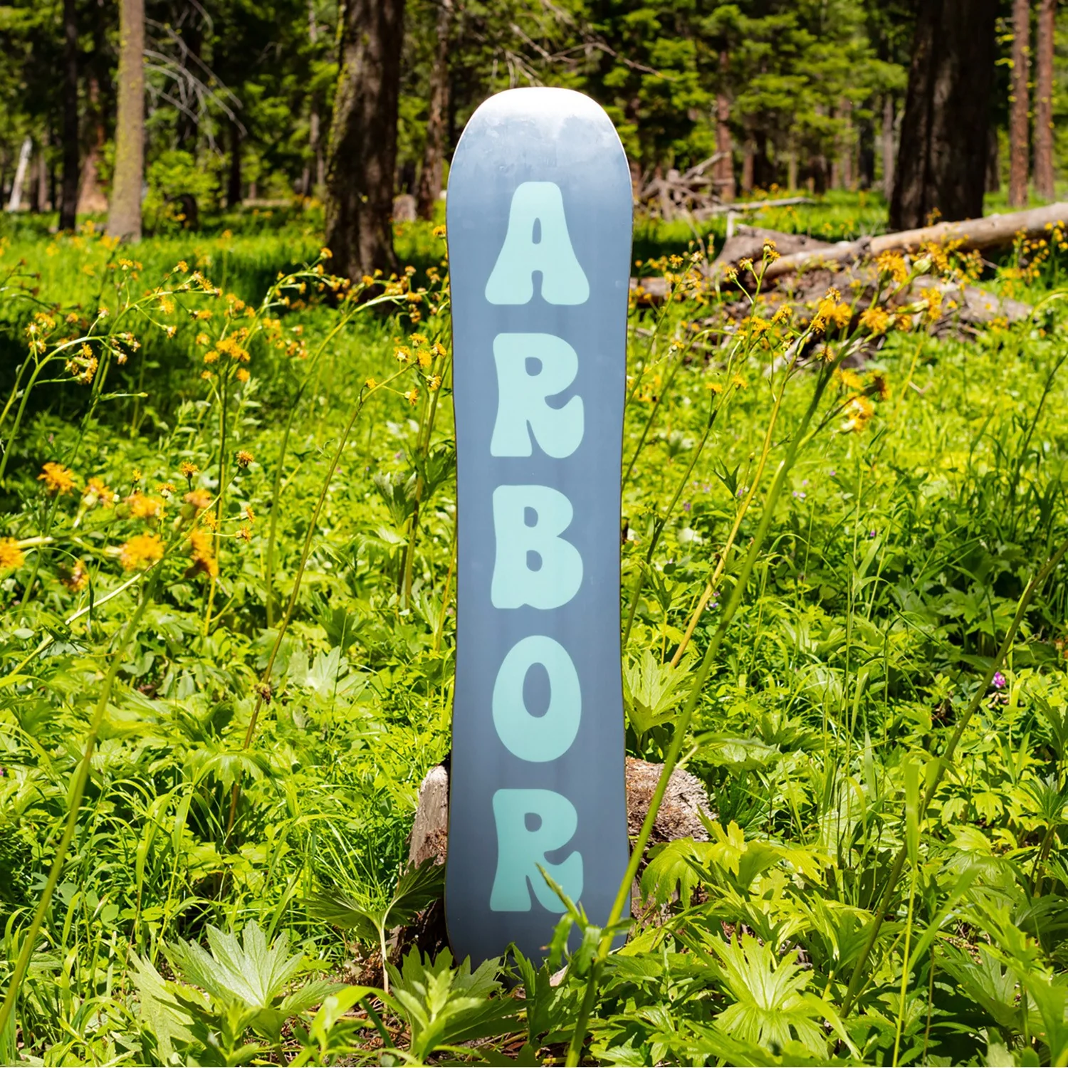 Arbor Cheater Rocker 2024 - Youth Snowboard - Image 3