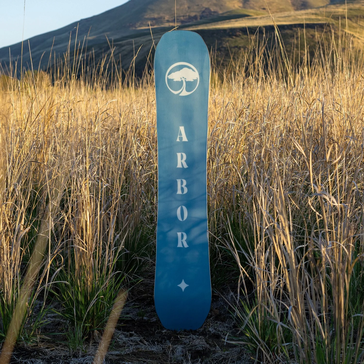 Arbor Swoon Camber 2024 - Women's Snowboard - Image 3