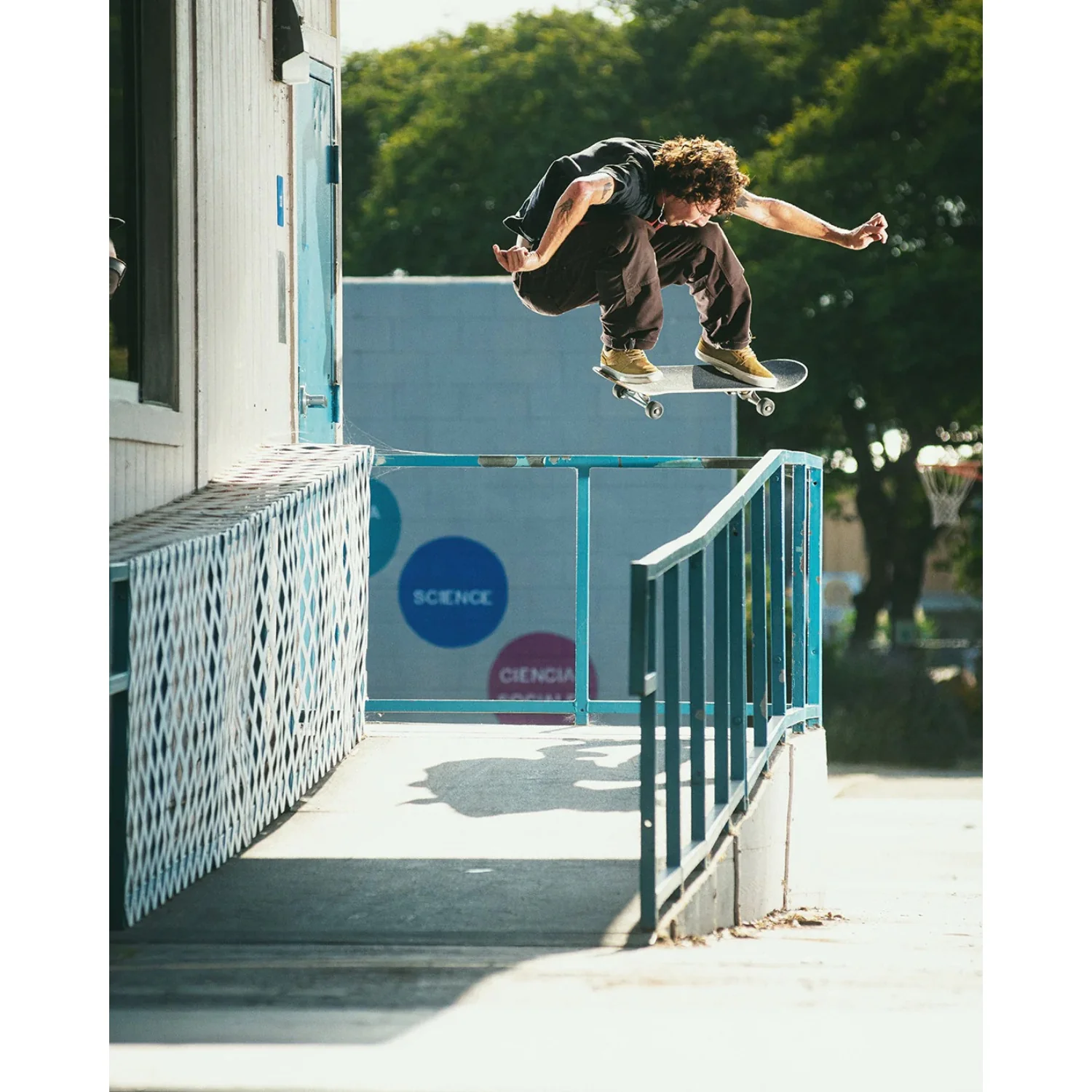 Emerica Hoban Skate Shoe - Men's - Image 21