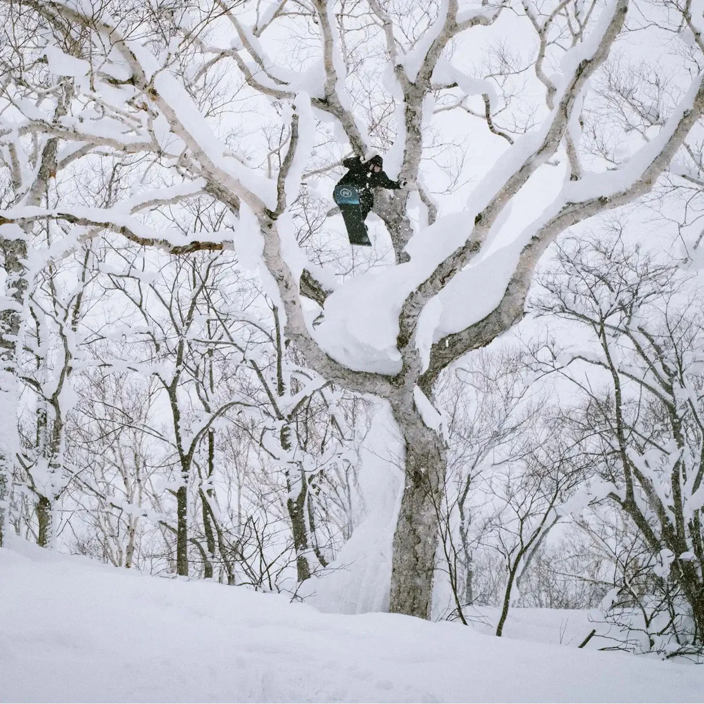 Nidecker Escape Plus Snowboard 2025 - Men's - Image 6