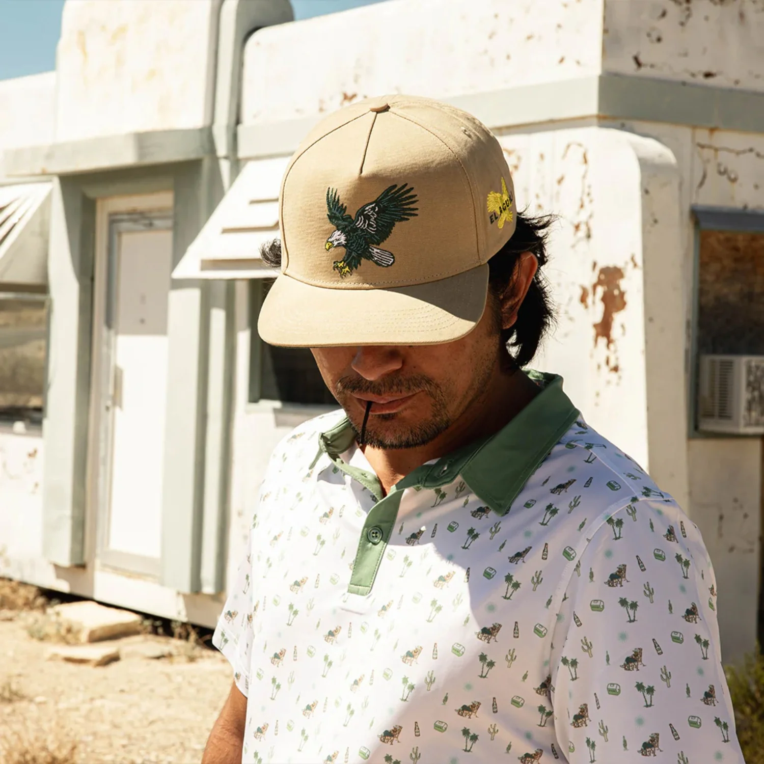 Sendero Eagle Snapback Hat - Image 6